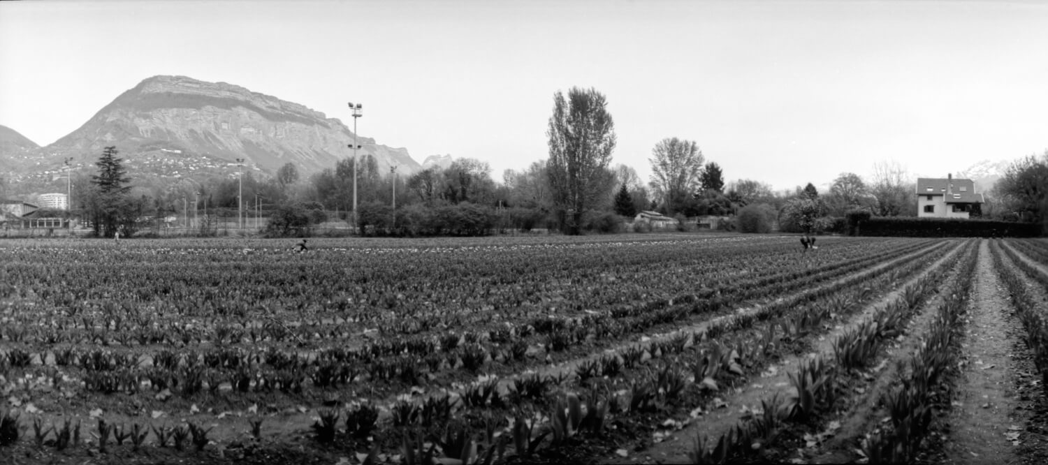 5 Cadres... Des panoramas à Grenoble sur Film de Séparation Panchromatique Kodak 2238 (Format 35mm / EI 12 / Horizon Perfect + OF-28p objectif 28mm f/2.8 MC) - par Alfonso Carpio Rovira