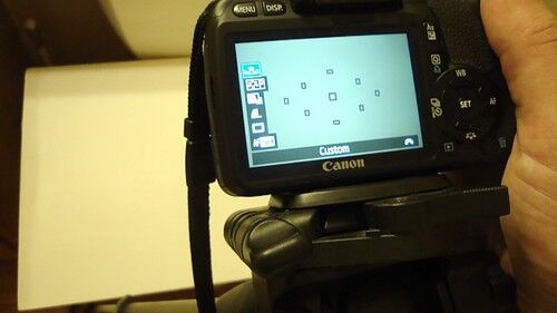 La balance des blancs personnalisée sur le Canon T2i 550D est-elle appliquée au format RAW ?