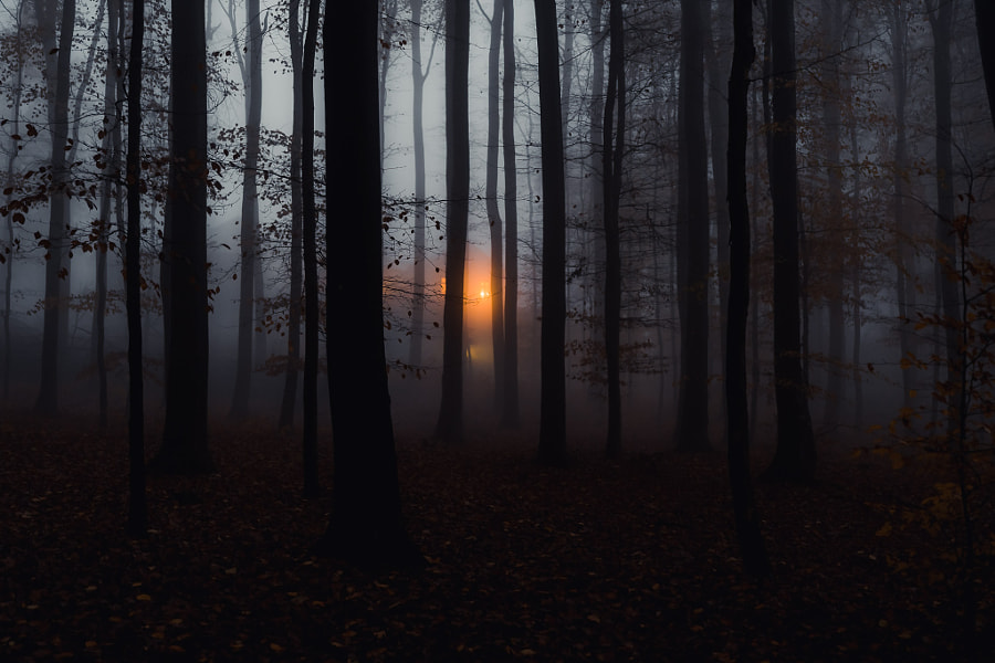 Felsenmeer - une lumière dans les bois par Jens Klettenheimer sur 500px.com