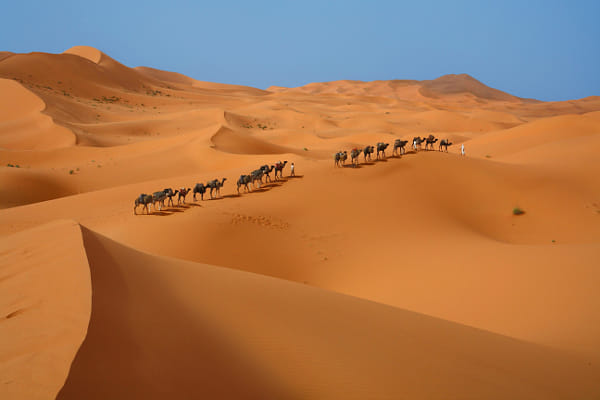 Caravane du désert par Walter Weinberg sur 500px.com