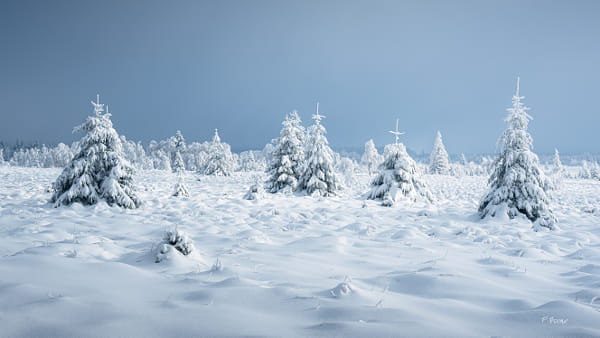 La Laponie en Belgique par Fabien Boone sur 500px.com